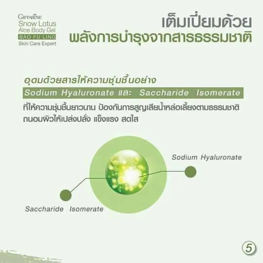 บัวหิมะ ครีมบัวหิมะ น้ำร้อนลวก ไฟไหม้ ความร้อน ว่านหางจรเข้ กิฟฟารีน สโนว์ โลตัส-อโล บอดี้ เจล ทาแผล - รูปที่ 5
