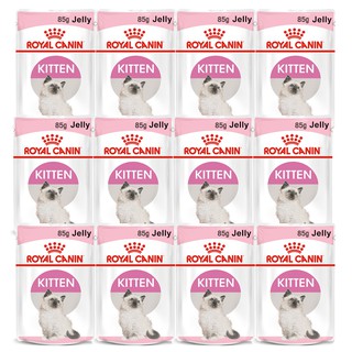 Royal Canin Kitten Jelly 85g (12 pouches) รอยัลคานิน อาหารลูกแมวเปียก แม่แมวตั้งท้อง-ให้นม ในวุ้นเจลลี่