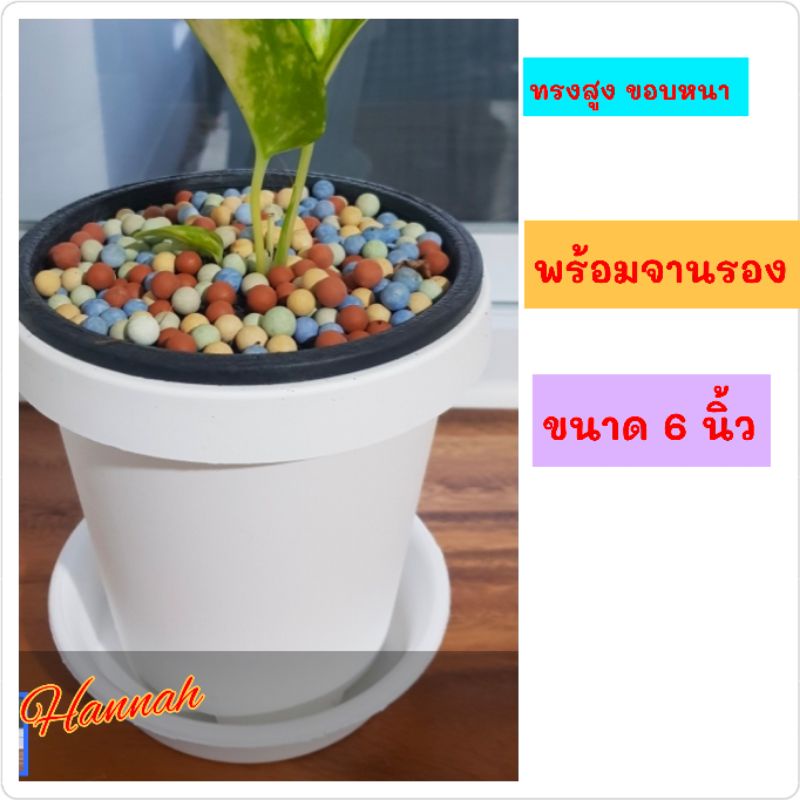 My Image 34
