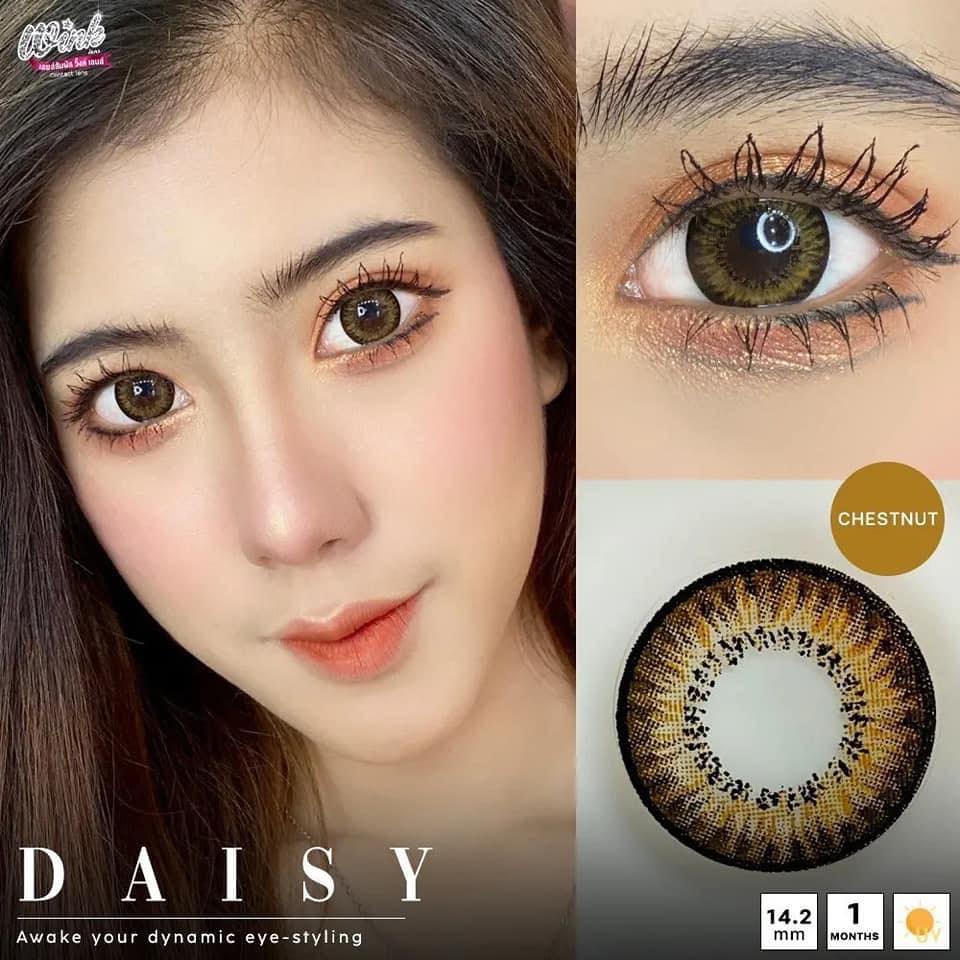 💋 มีค่าสายตา 💋 Wink Daisy Gray Brown Black  💋  บิ๊กอาย สุดปัง คอนแทคเลนส์ รายเดือน มีอย แถมตลับฟรี  เลนส์นิ่ม สวยปังมาก