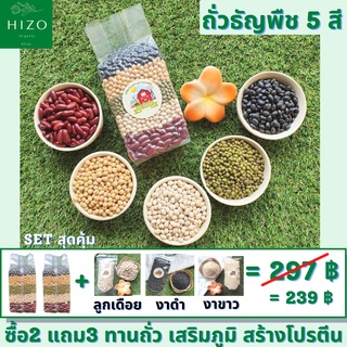 [ชุดสุดคุ้มซื้อ2แถม3 ถั่วธัญพืช5สี เสริมภูมิสร้างโปรตีน] ถั่วธัญพืช5สี 500g ในถุงสูญญากาศ2ถุง แถมฟรี ลูกเดือย งาดำ งาขาว