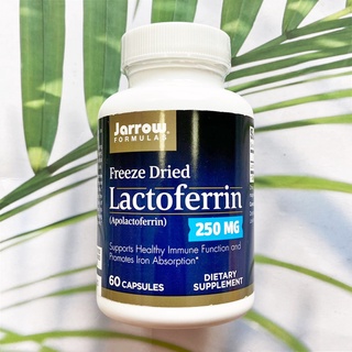 (Jarrow Formulas®) Freeze Dried Lactoferrin 250 mg 60 Capsules แลคโต เฟอริน แลคโต เฟอร์ริน