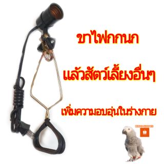 ขาไฟ กกนก เพิ่มความอบอุ่นสัตว์เลี้ยง