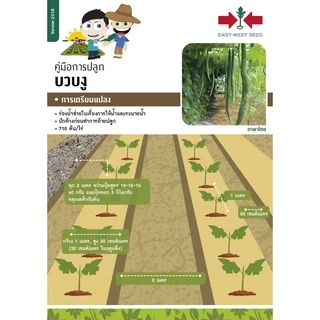 GGEW เมล็ดพันธุ์ซฟ บวบงูลูกผสมคอบร้า 10เมล็ด ตราศรแดง บวบคอบรา