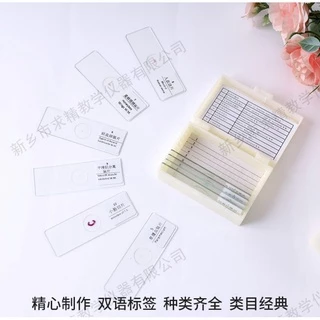 พร้อมส่ง 10 / 25 / 50 ชิ้นมืออาชีพแก้วเตรียมสไลด์กล้องจุลทรรศน์สำหรับเด็กโรงเรียนห้องปฏิบัติการการศึกษา