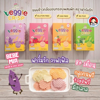 ฟาร์มรัก ขนมข้าวกล้องอบกรอบผสมผักและผลไม้ สำหรับเด็ก glutenfree top8free vegan ขนาด 20 กรัม