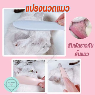 แปรงนวดแมว Cat Groomer Brush  จำลองซี่แปรงจากลิ้นของแมว