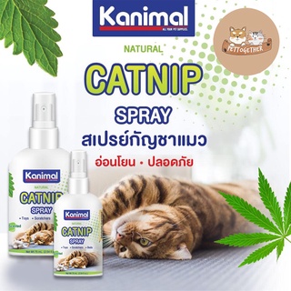 Kanimal Catnip Spray สเปรย์แคทนิป กัญชาแมว สูตรธรรมชาติ 100%