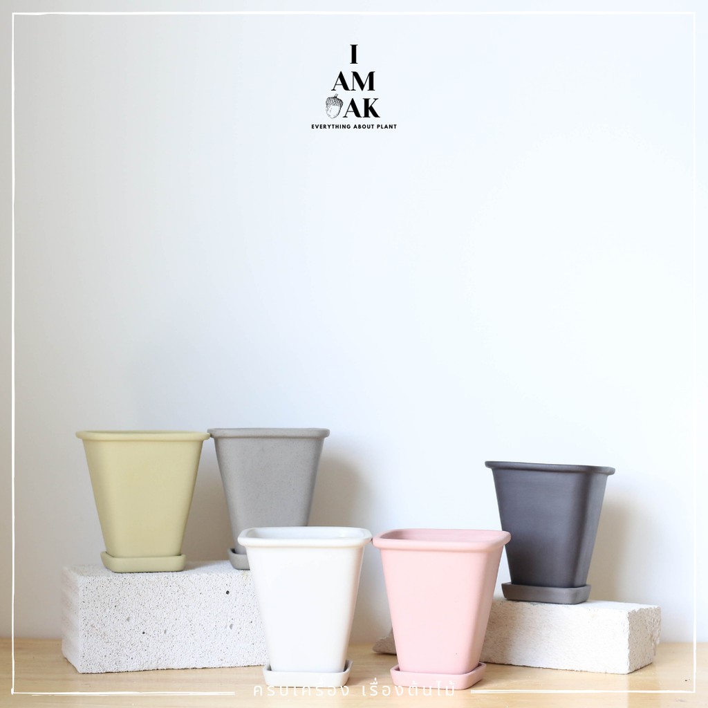 มุมมอง 2