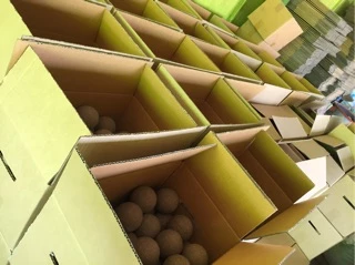 Cleaner Ball ลูกบอลบำบัดน้ำเสีย อีเอ็มบอล ลูกละ10.บ บรรจุ 30 ลูกใช้บำบัดน้ำเสีย ใช้เตรียมบ่อ🐟🦐