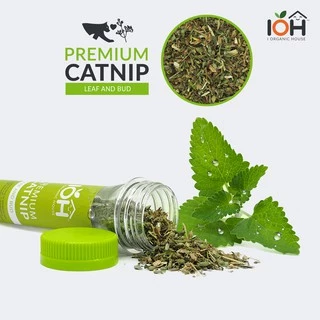IOH PREMIUM CATNIP - LEAF AND BUD - แคทนิป กัญชาแมวพรีเมี่ยม สายพันธุ์ Nepeta Cataria นำเข้าจาก USA