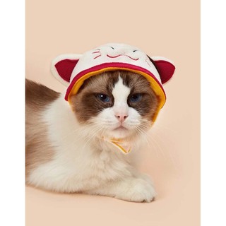 หมวกแมว ลายปัก หมวกสัตว์น่ารัก พร้อมส่งจากไทย