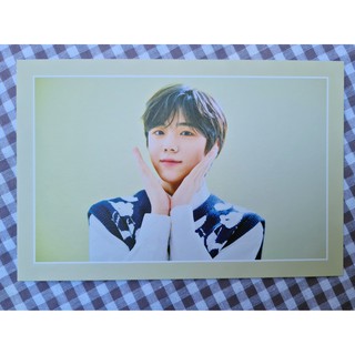 [พร้อมส่ง] การ์ดดอกไม้ แทยอง Taeyoung Cravity 2021 Seasons Greetings Cafe Cravity Coffee &amp; Flower Blooming Card