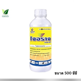 เจอราจ ขนาด 500 ซีซี. โพรคลอราช (prochloraz) 45% EC ป้องกันกำจัดเชื้อรา พริกกุ้งแห้ง แอนแทรคโนส ช่อดำ แผลจุดดาวกระจาย