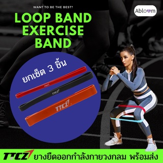 เซ็ต ยางยืด ออกกำลังกาย แบบวงกลม 3 เส้น Resistance Loop Band Set (3 Levels)