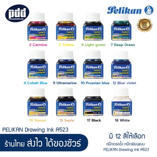 Pelikan Drawing Ink A523 หมึกดรออิ้ง อิงค์ พิลีแกน หมึกเขียนแบบ หมึกกันน้ำ สีแดง เขียว น้ำเงิน ฟ้า น้ำตาล ดำ