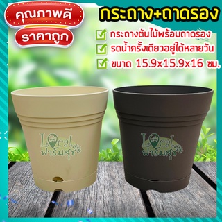 กระถางต้นไม้ 6” พร้อมจานรอง 🌵กระถางต้นไม้  Plant Pot กระถางไม้ฟอกอากาศ กระถางรดน้ำต้นไม้อัตโนมัติ ขนาด 15.9x15.9x16 cm