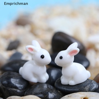 (Emprichman) ตุ๊กตากระต่ายจิ๋ว 2 ชิ้น สําหรับสวน