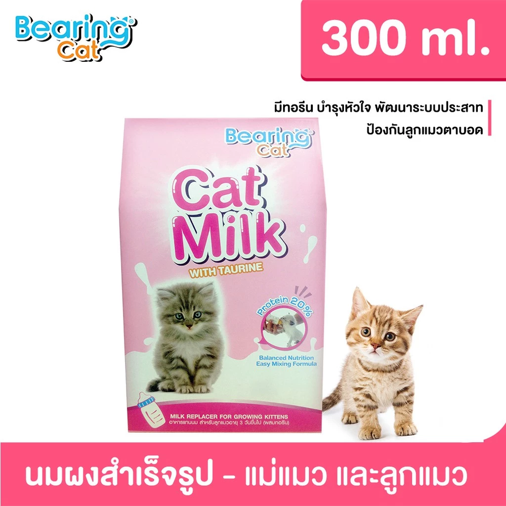 BEARING Cat Milk with Casein นมผงสำหรับลูกแมว 300g thumbnail 4