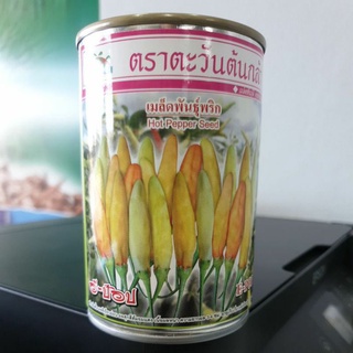 พริกส้มสั้น อี-ป๊อป 50กรัม ตะวันต้นกล้า