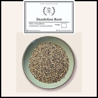 BULK Dandelion Root 500g รากแดนดิไลออน (Taraxacum Officinale)