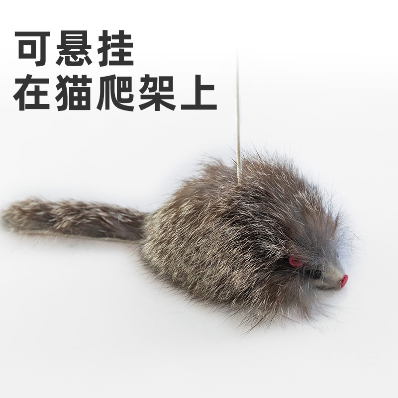 Cat And Dog Rope Knot Toy Cat Climbing Frame Can Hang Funny Cat Stick ...