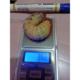 แมทสำหรับเพาะเลี้ยงด้วงกว่าง(10ลิตร)วัสดุรองพื้นด้วงกว่าง