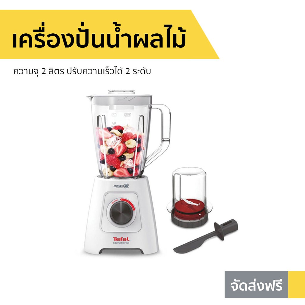 เครื่องปั่นน้ำผลไม้ Tefal รุ่น BL42S166 - เครื่องปั่น