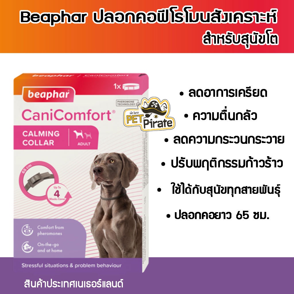 Beaphar CaniComfort ปลอกคอฟีโรโมน สำหรับสุนัขทุกสายพันธุ์ ช่วยผ่อนคลายความเครียด ปรับเปลี่ยนพฤติกรรม ลดความกระวนกระวาย ลดความตื่นกลัว เมื่อย้ายบ้านใหม่ ออกนอกบ้าน พาหาหมอ ลดความตื่นกลัวเสียงฟ้าผ่า 1 เส้น/กล่อง