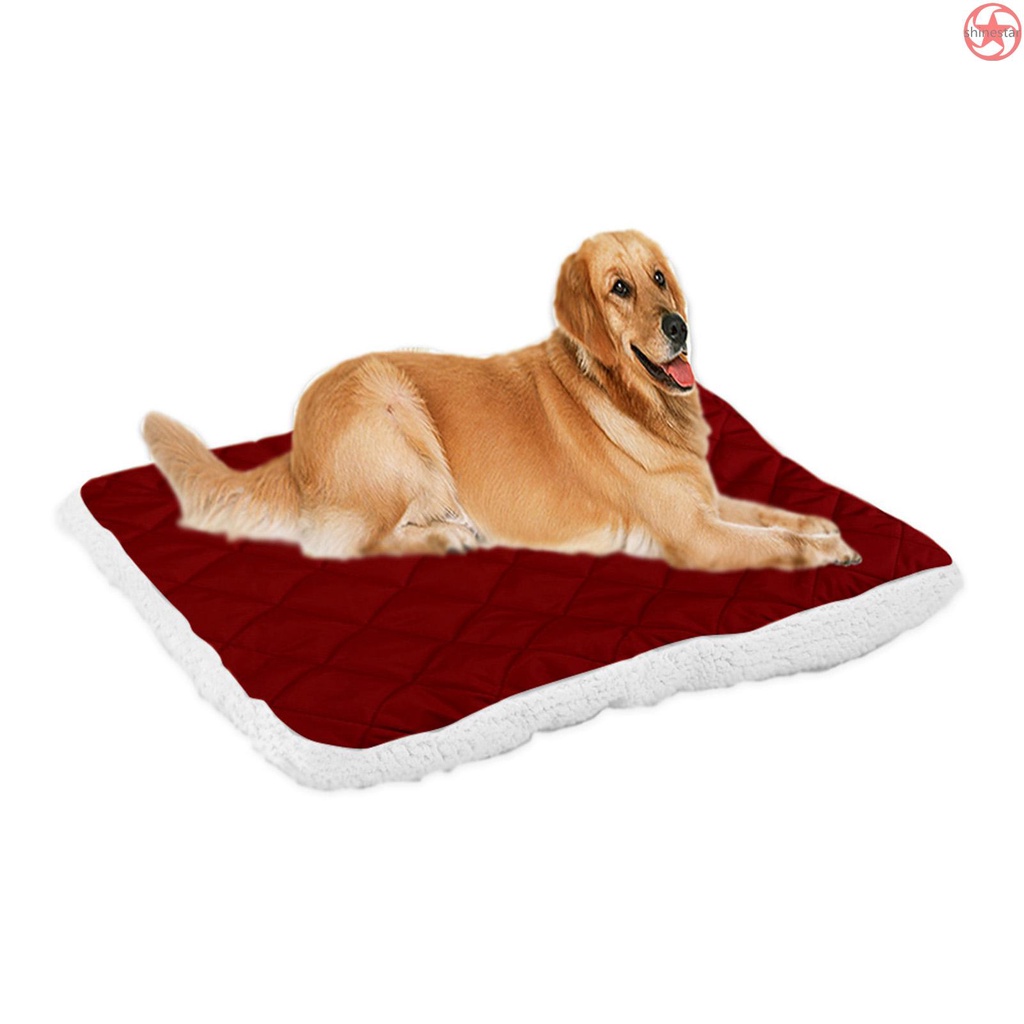 Are Warmed Dog Beds Safe