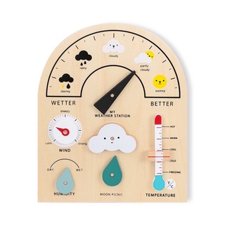 Moon Picnic My Weather Station