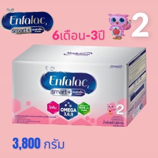 {นมผง} Enfalac เอนฟาแล็ค สมาร์ทพลัส สูตร2 สำหรับเด็ก6เดือน 3,800กรัม เอนฟาแลค สมาร์ท สูตร2 Enfalac smart+ 3800กรัม