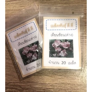 เมล็ดพันธุ์ ดอกเทียนซ้อนด่าง 100 เมล็ด ดอกเทียนด่าง ชมพู/ขาว ✅ราคาถูก🪴ปลูกง่าย ดอกสวยมาก🔥ซื้อ10แถม1 คละได้🔥