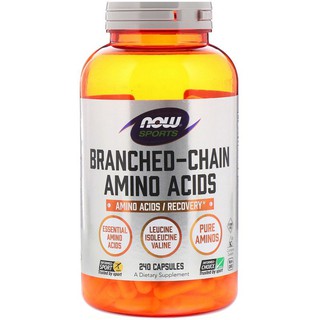 🔥Preorder🇺🇸Now Foods, Sports, Branched-Chain Amino Acids, 240 Capsules