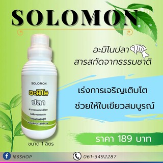 Solomon อะมิโนปลา อะมิโนปลาสกัดจากธรรมชาติ100% สร้างตายอด แตกใบอ่อน ลำต้นแข็งแรง แตกรากได้ดี ใบเขียวสมบูรณ์ ขนาด 1000ml.