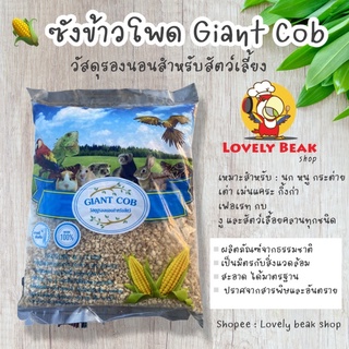 ซังข้าวโพด วัสดุรองนอน Giant Cob 1 kg. รองกรงสัตว์เลี้ยง ปูพื้นกรง ที่นอนนก หนู แฮมเตอร์ เม่นแคระ ชูก้า กระรอก