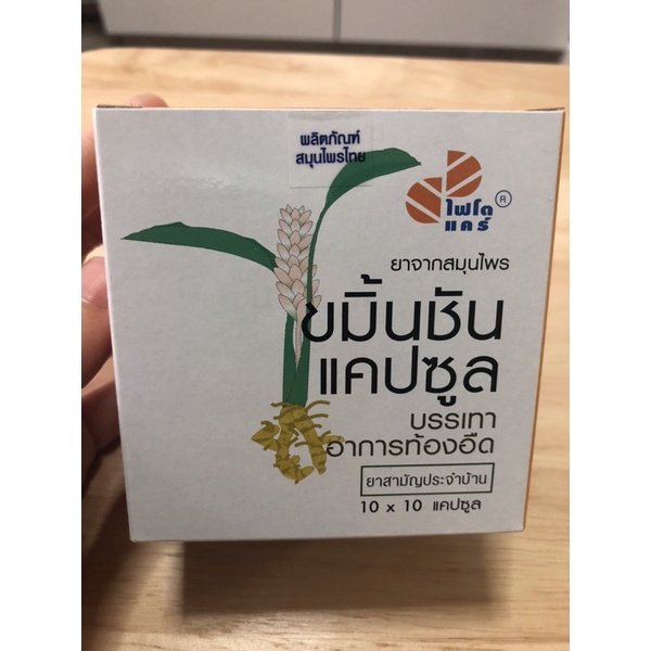 ขมิ้นชันแคปซูล 100 เม็ด PHYTO CARE ขนาดบรรจุ 10 x 10 แคปซูล (ขมิ้นชัน gpo)