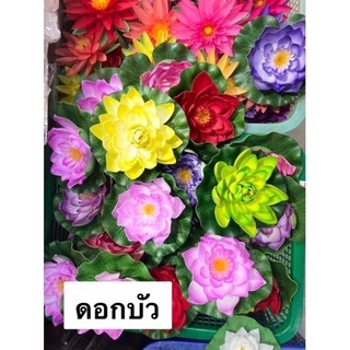 ดอกบัวลอยน้ำ (ดอกใหญ่)