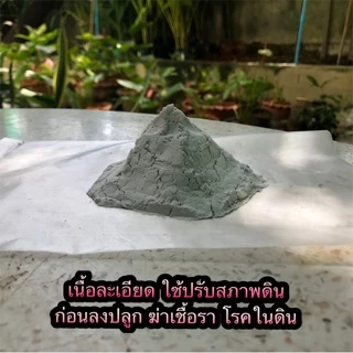 ใช้ดี! ปูนขาวเปลือกหอย 9 กก. แท้ 100% ปรับสภาพดิน ปรับค่าPHดิน ฆ่าเชื้อรา ฆ่าเชื้อโรคในดิน โรคพืช ดินกรด ดินเสื่อม
