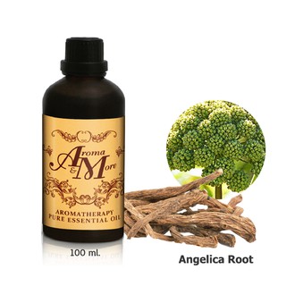 Aroma&amp;More  Angelica Root Essential oil 100%,น้ำมันหอมระเหยแองเจลิกา รูท 100%, India 100ML