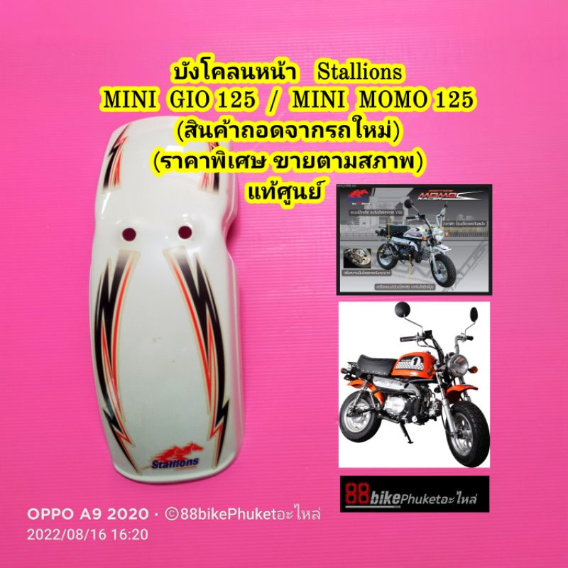 บังโคลนหน้า Stallions MINI GIO 125 / MINI MOMO 125 แท้ศูนย์  บังโคลน