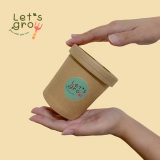 [หญ้าแมว] ชุดพร้อมปลูกต้นอ่อนข้าวสาลี Let’s grow📌📌ลดราคาพิเศษ 🎉พร้อมโค้ดส่วนลด‼️