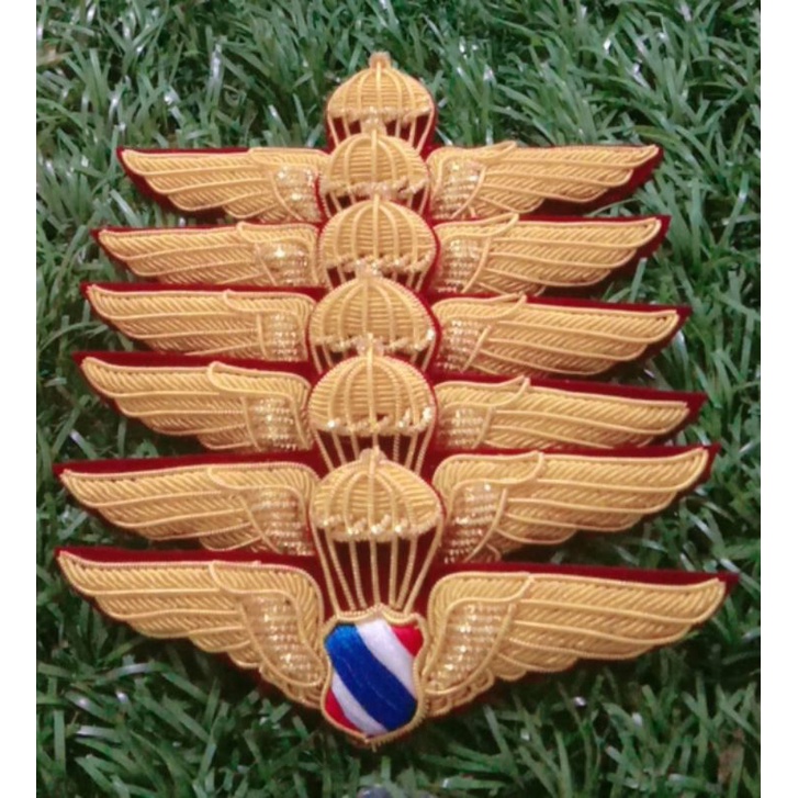 ปีกตำรวจปักดิ้นสีทอง