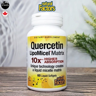 เควอซิทิน Natural Factors® Quercetin LipoMicel Matrix 60 Liquid Softgels เควอซิติน