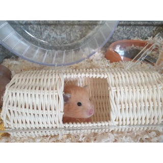 ท่อมุดหวาย แฮมสเตอร์ hamster tunnel ปลอดภัยไม่เคลือบสาร