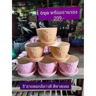กระถางลีลาวดีขนาด 5" สีพาสเทล พร้อมจานรอง 6 ชุด 209.-