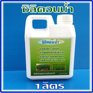 ซิลิคอนน้ำ ขนาด 1 ลิตร เป็น ธาตุอาหารที่จำเป็นสำหรับนาข้าว หอม กระเทียม และพืชทั่วๆไป ช่วยให้ใบแข็งแกร่ง ทนต่อโรคและแมลง