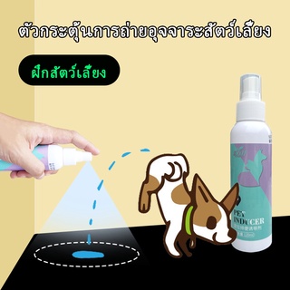 120ml สเปรย์ฝึกฉี่หมา/แมว สเปร์ยฝึกขับถ่ายสุนัขและแมว สเปรย์ฝึกฉี่ลูกสุนัข สเปรย์ฉี่สัตว์เลี้ยง