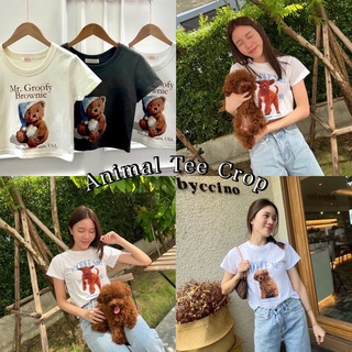 รวมเสื้อครอป🧺Animal Tee Crop🐶เสื้อครอปเนื้อผ้า Supersoft สุดนุ่มนิ่ม