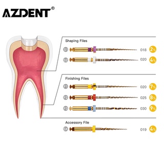 Azdent เครื่องมือทันตกรรม Endodontic Gold Taper Niti แบบหมุน 25 มม.